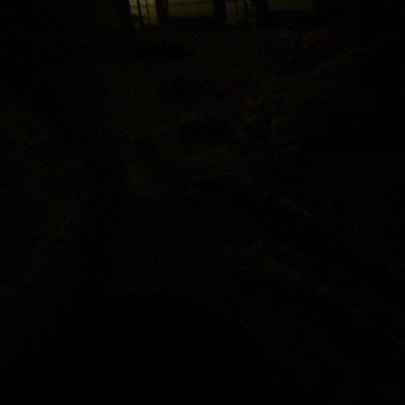 Meet your Posher, Travis - Picture 1 of 1